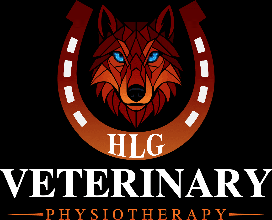 HLG Veterinary Physiotherapy