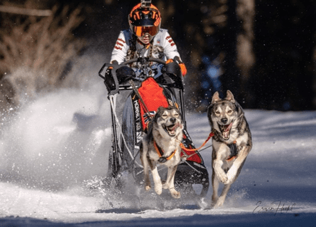 Sleddog Racing