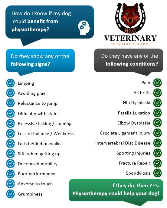 Signs and conditions chart showing how to know if your dog could benefit from physiotherapy