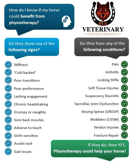 Signs and conditions chart showing how to know if your horse could benefit from physiotherapy